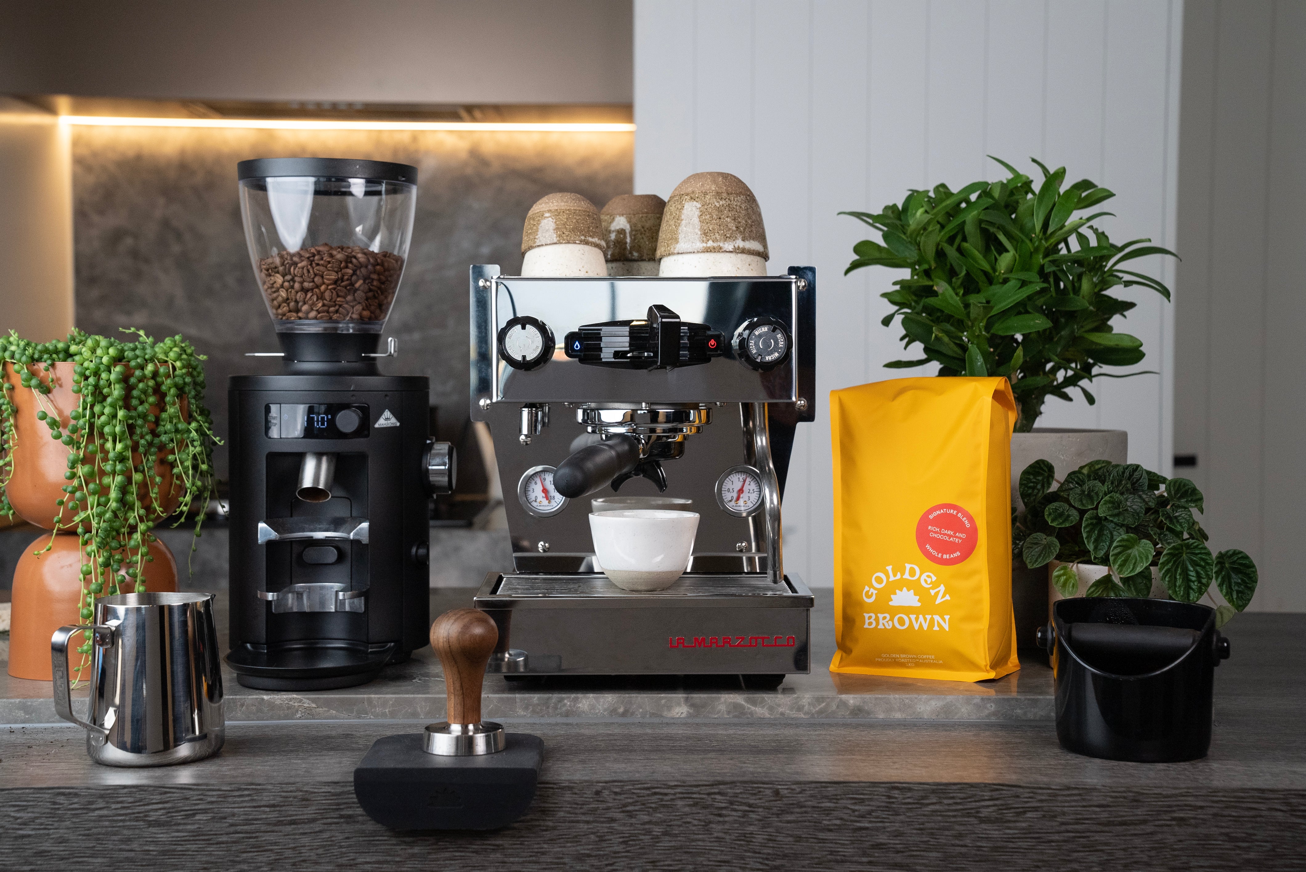 La Marzocco 6-month Subscription - Golden Brown Signature Blend