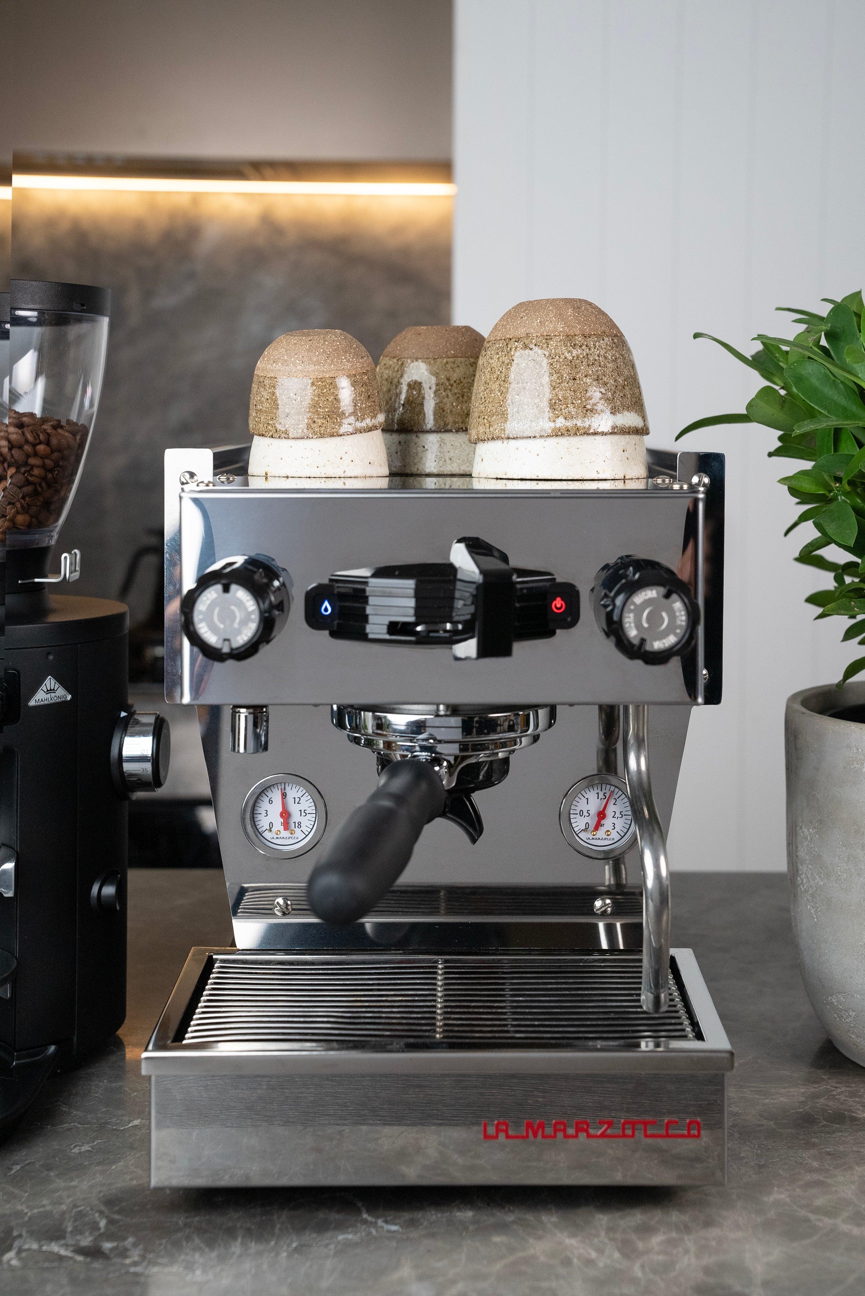 La Marzocco 6-month Subscription - Golden Brown Signature Blend