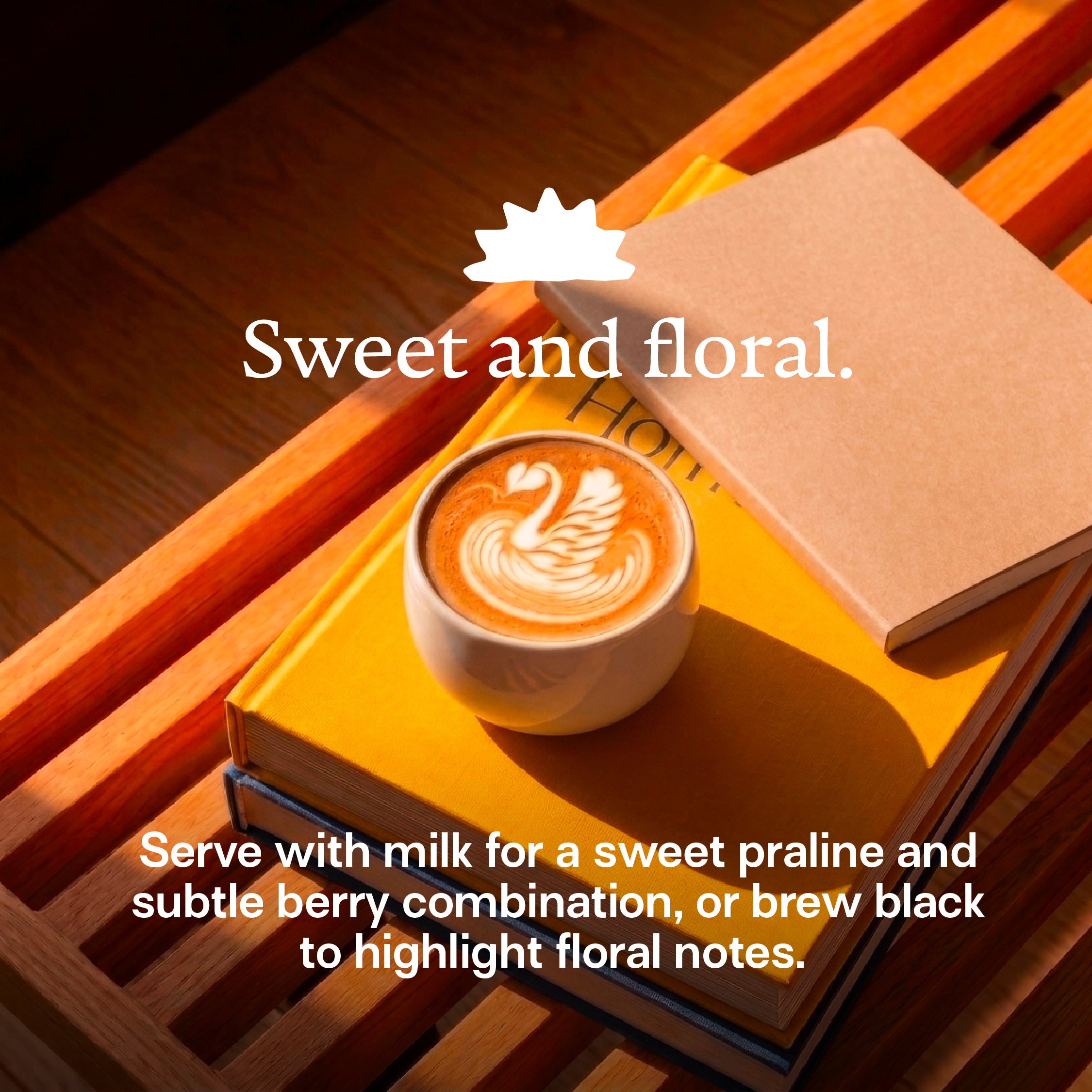Sun Dancer Espresso Blend