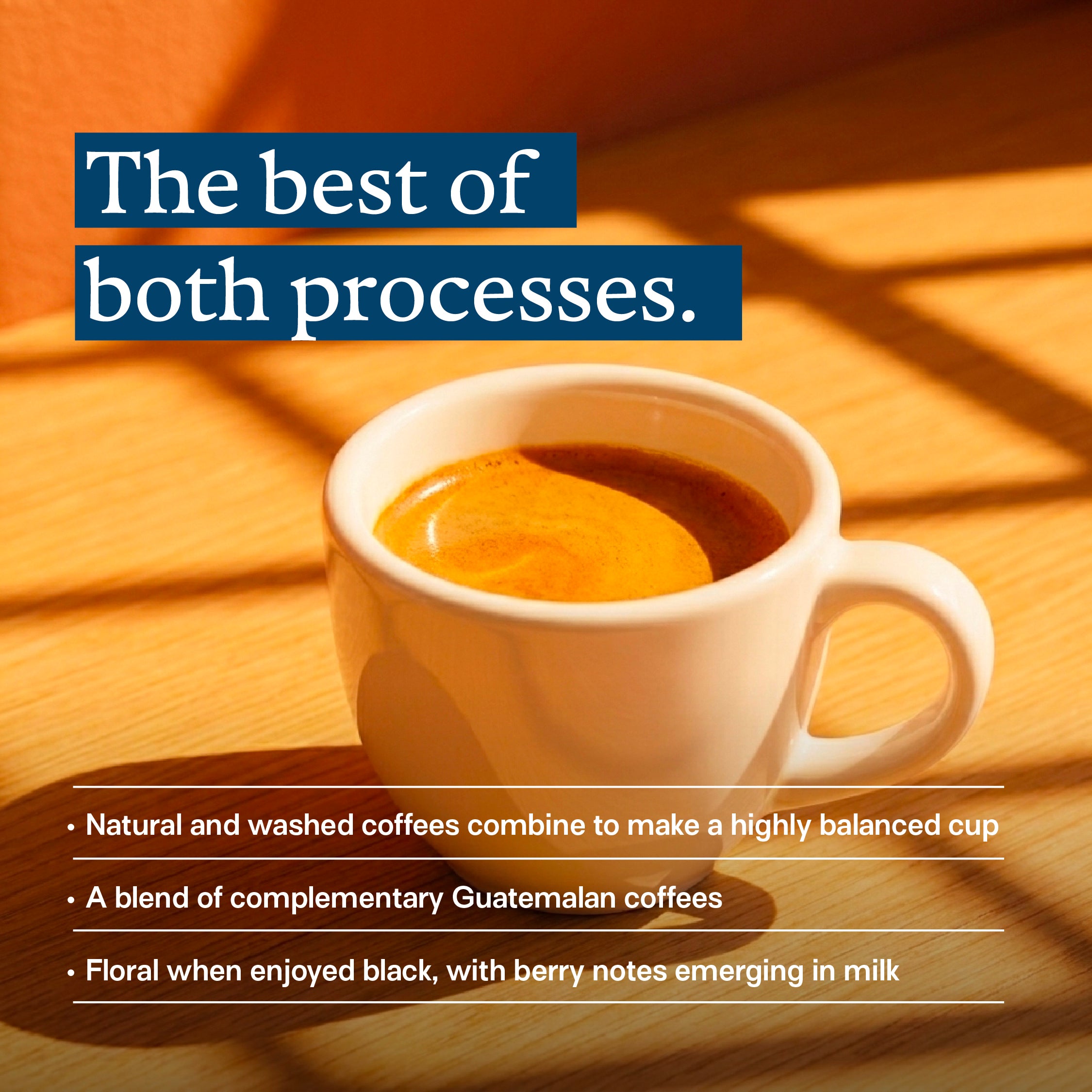 Sun Dancer Espresso Blend